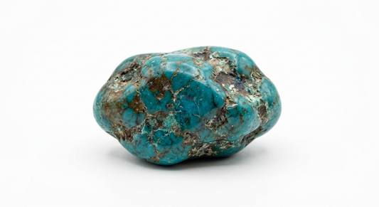 Tout savoir sur la Turquoise